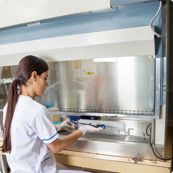 Campanas de Flujo Laminar